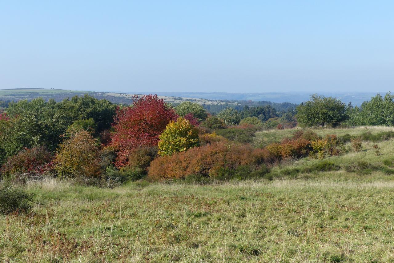 Chalets Am National Park Eifel シュライデン エクステリア 写真