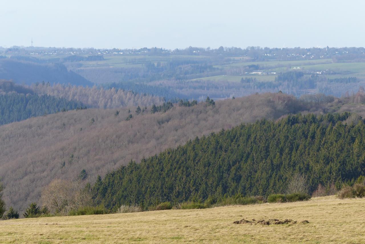 Chalets Am National Park Eifel シュライデン エクステリア 写真
